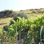 Mosel View *