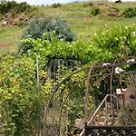 דירה Mosel View צל אן דר מוזל