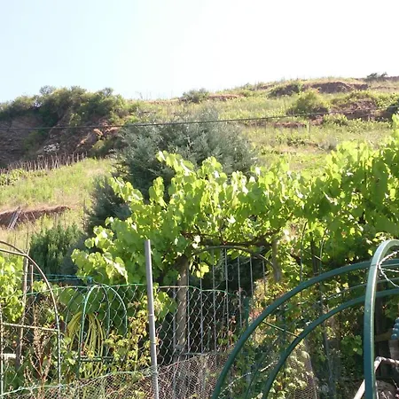 Mosel View *