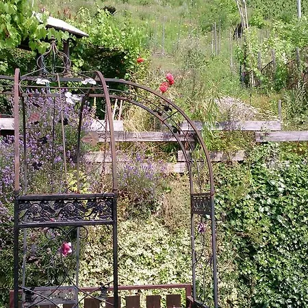 Appartement Mosel View *