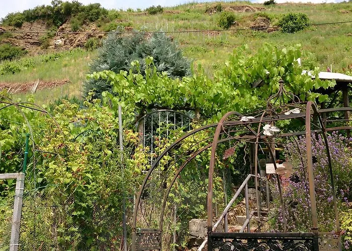 Apartamento Mosel View Zell