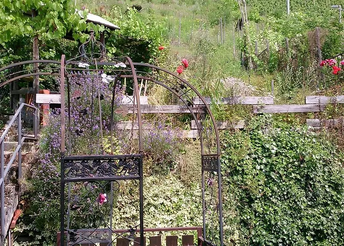 Appartamento Mosel View *